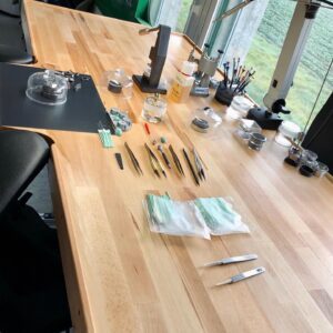 établie d'horloger en bois