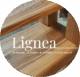 Lignea